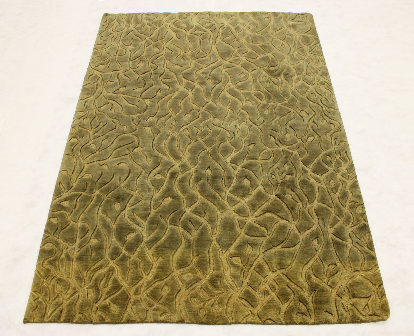 6'8 x 9'0 ft Hand knotted Contemporary oriental area wool rug