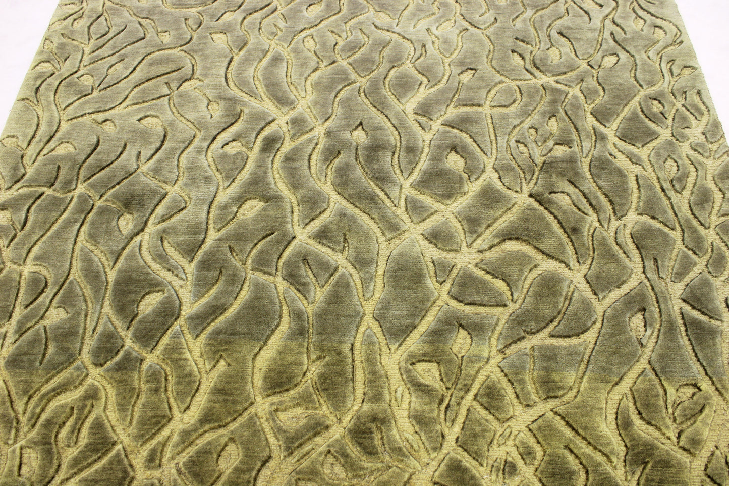 6'8 x 9'0 ft Hand knotted Contemporary oriental area wool rug